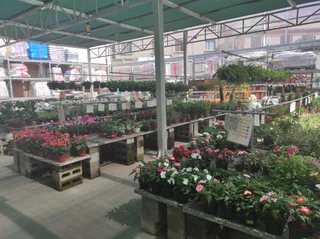 The Home Depot Tlaquepaque