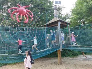 Port Brzeźno Park Linowy
