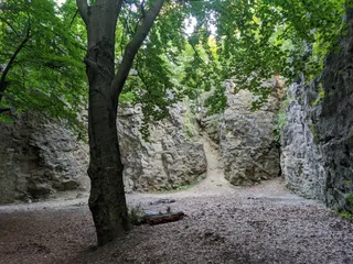 Park Winnikowski
