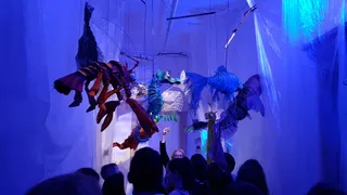 Teatr Animacji