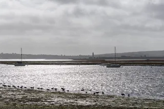 Solent Way