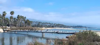 stearn wharf