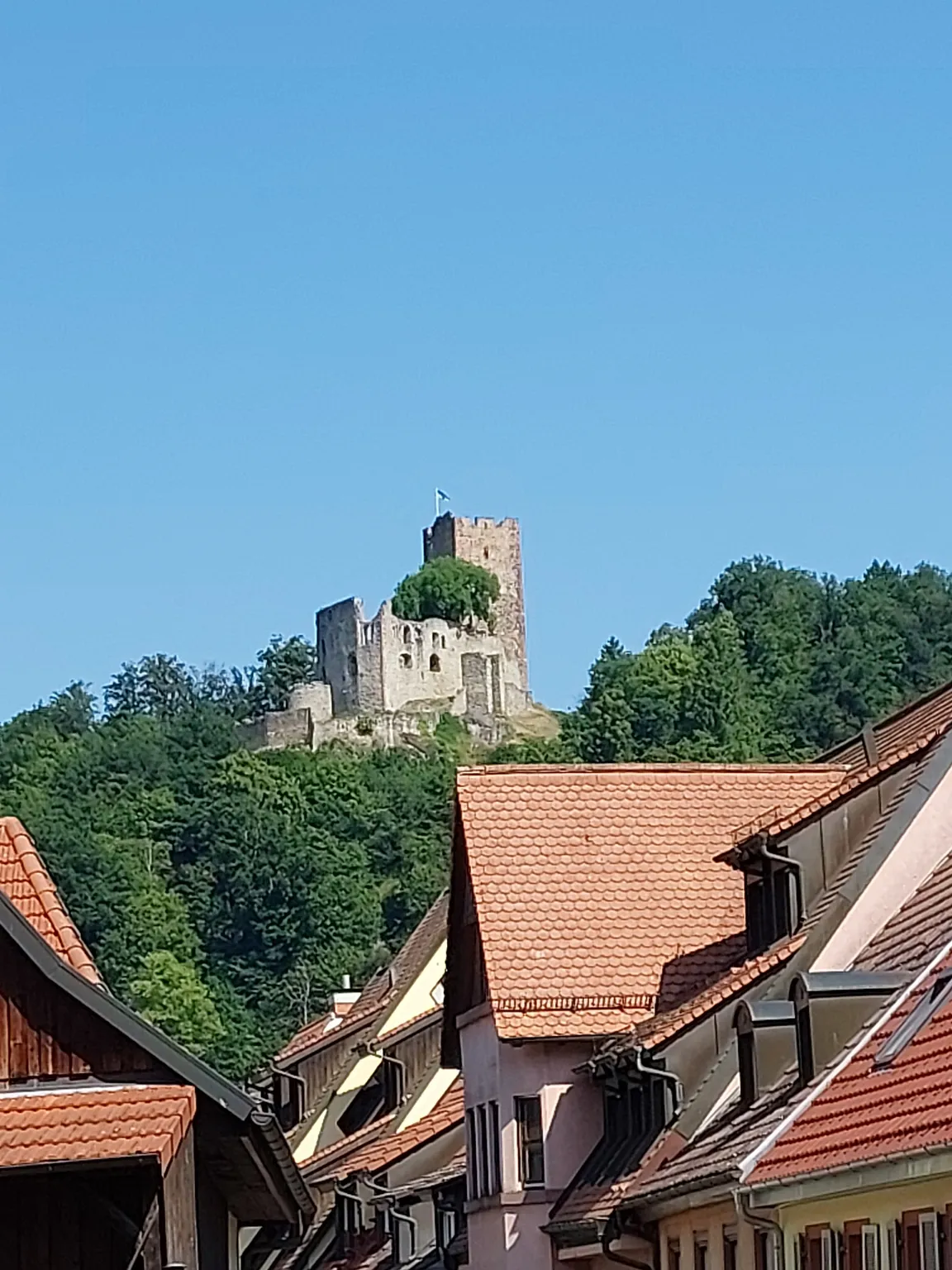 Waldkirch Castle