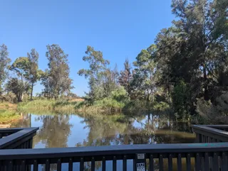 Paddocks Reserve Playground