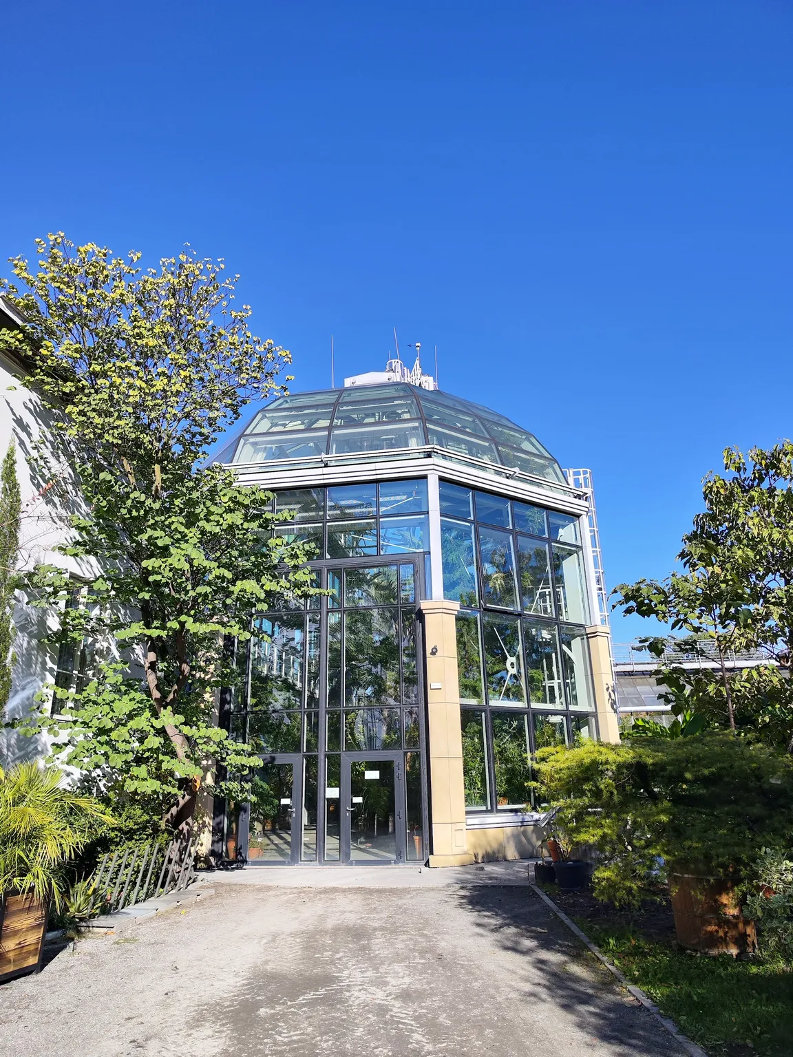 Ogród Botaniczny Uniwersytetu Jagiellońskiego