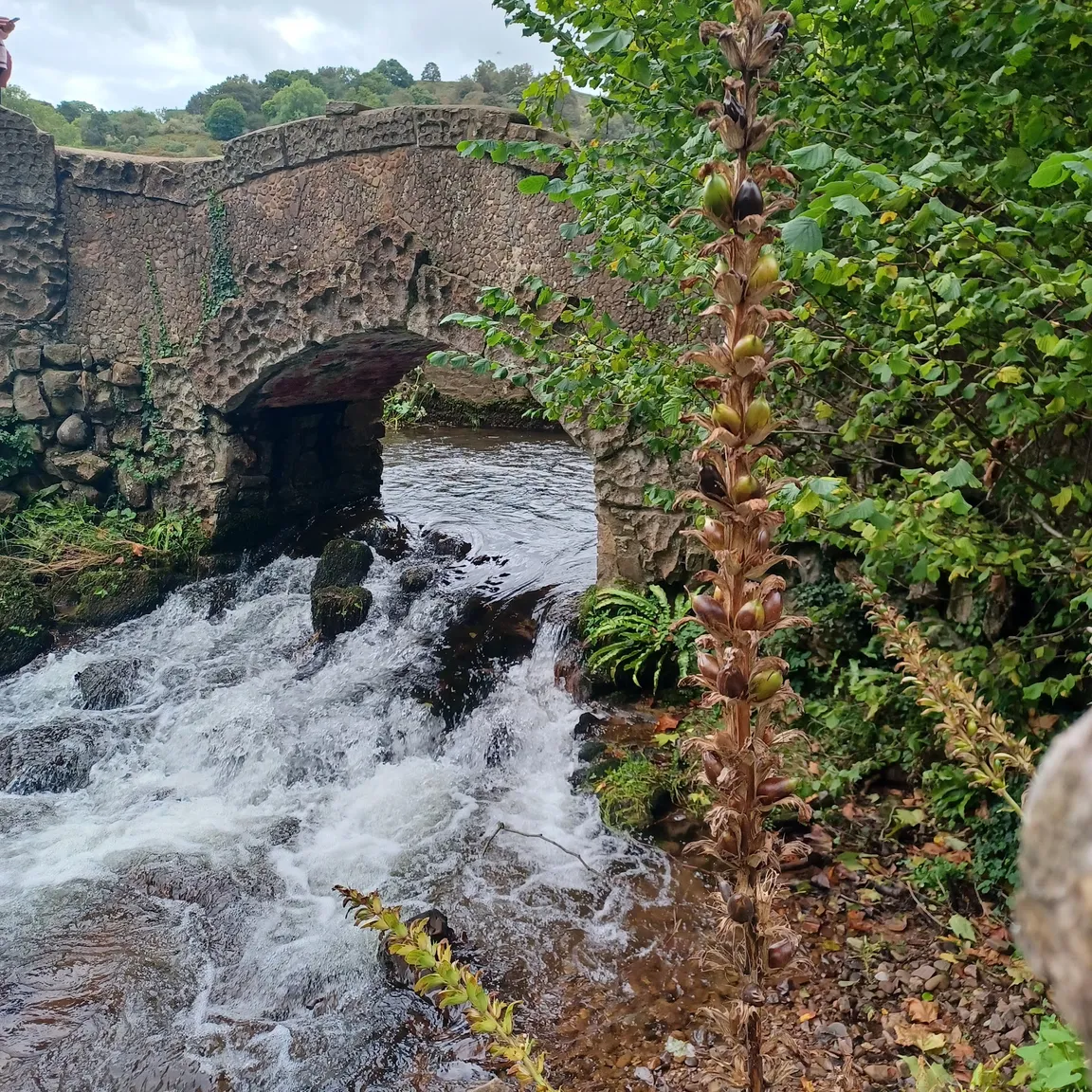 National Trust - Dunster Castle and Watermill