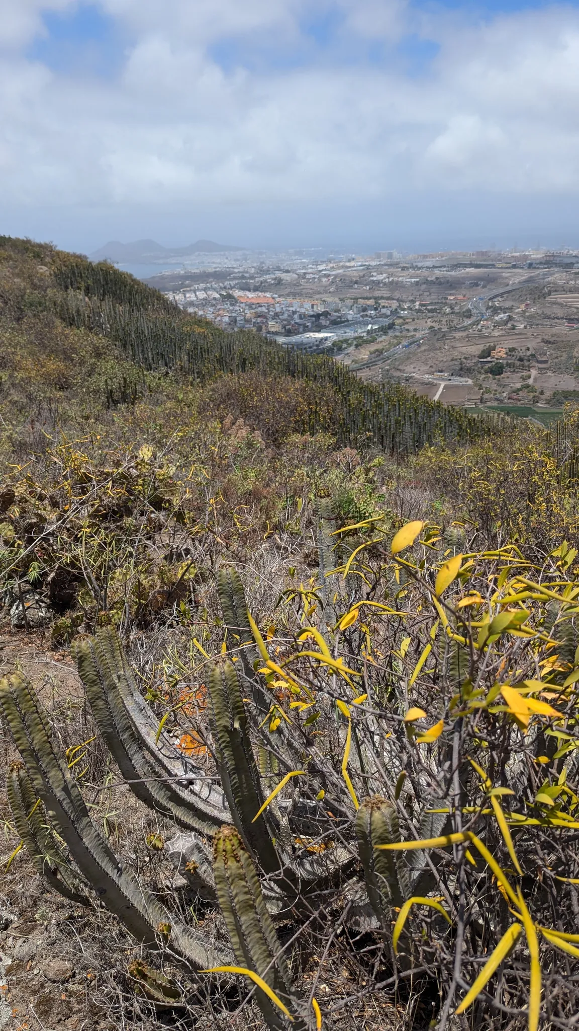 Cruz Montaña San Gregorio