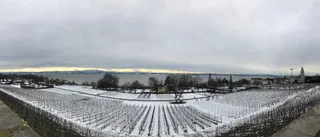 Seeblick