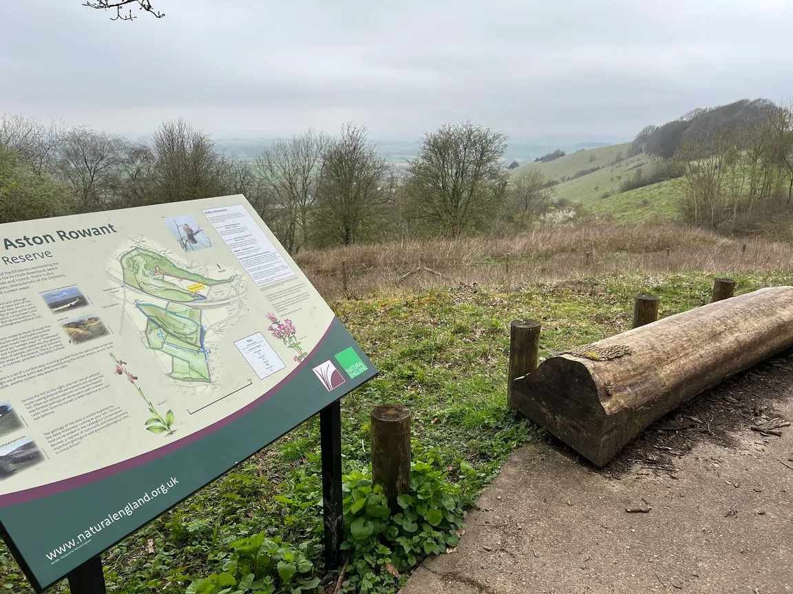 CHILTERNS NATURE - ASTON ROWANT NATURE RESERVE