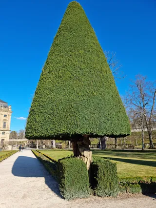 Court Garden