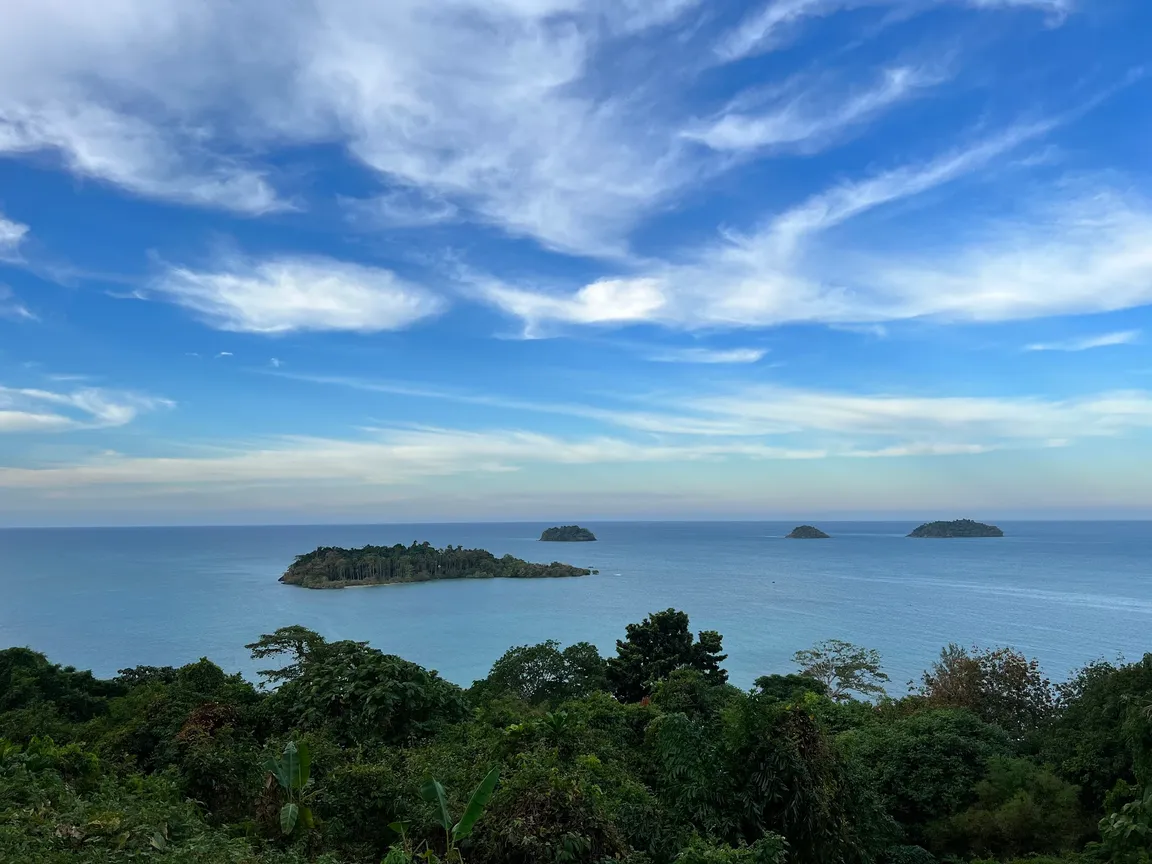View point