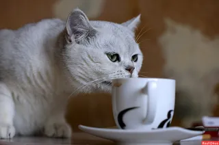 anti-café ComeIN