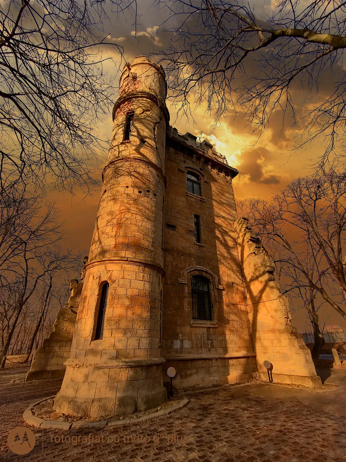 Nicolae Romanescu Park