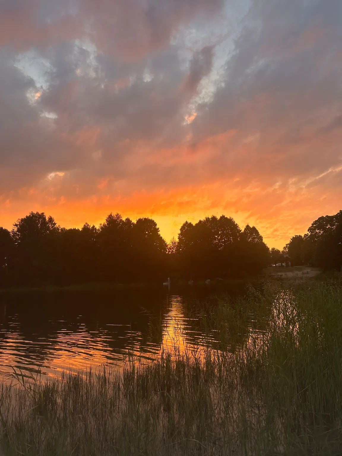 Port Okoniny Bory Tucholskie
