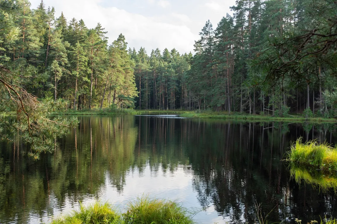 Wigierski Park Narodowy