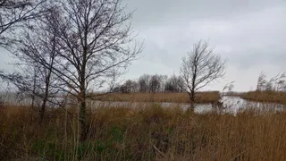 Pomost - platforma widokowa