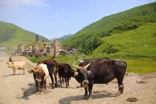 4 views of ushguli cottage
