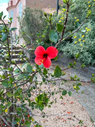 La Place de L'Isclou d'Amour