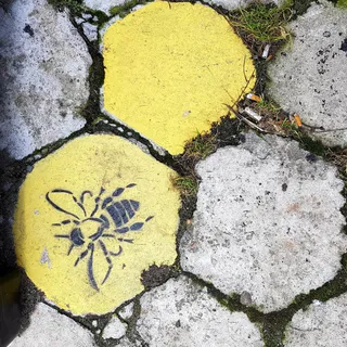 Serce Nadodrza