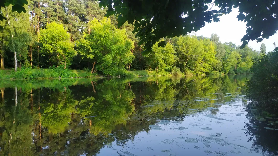 Szlak nad kanałem