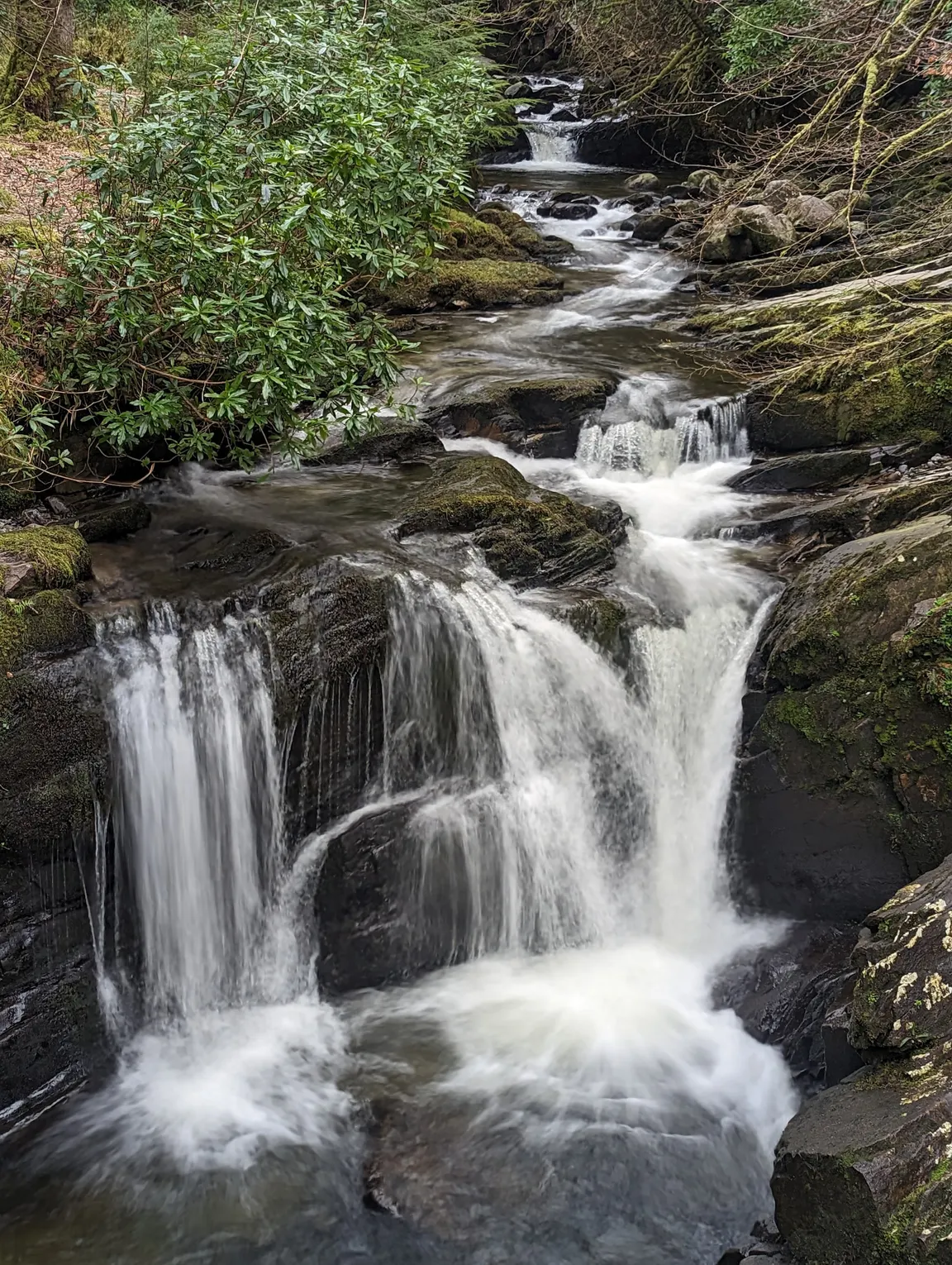 Killarney National Park