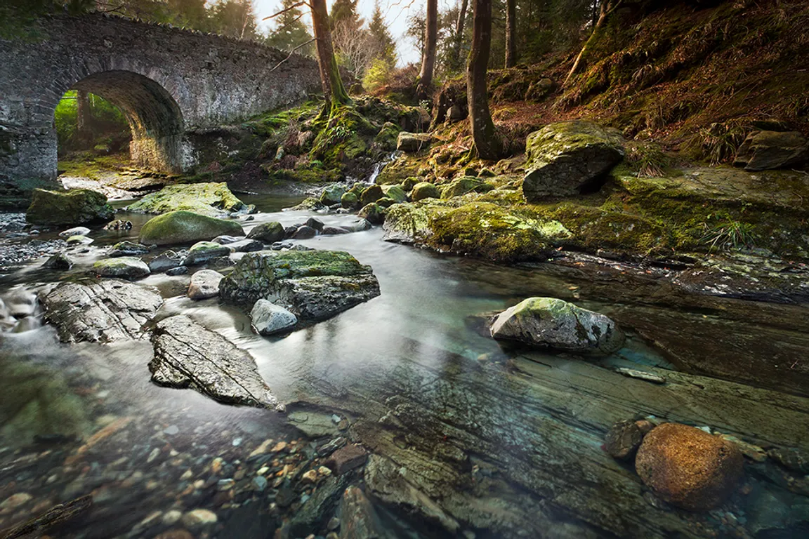 Tollymore Forest Park