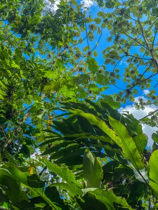 La fortuna Hikes and Trails