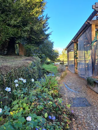 Trout Farm