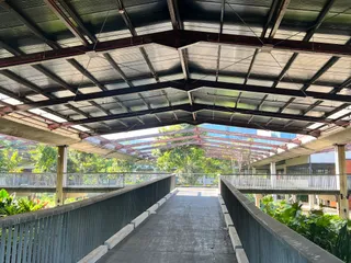 Bangkok Forest Cycling - Benjakitti Park - Bicycle Rental for all ages