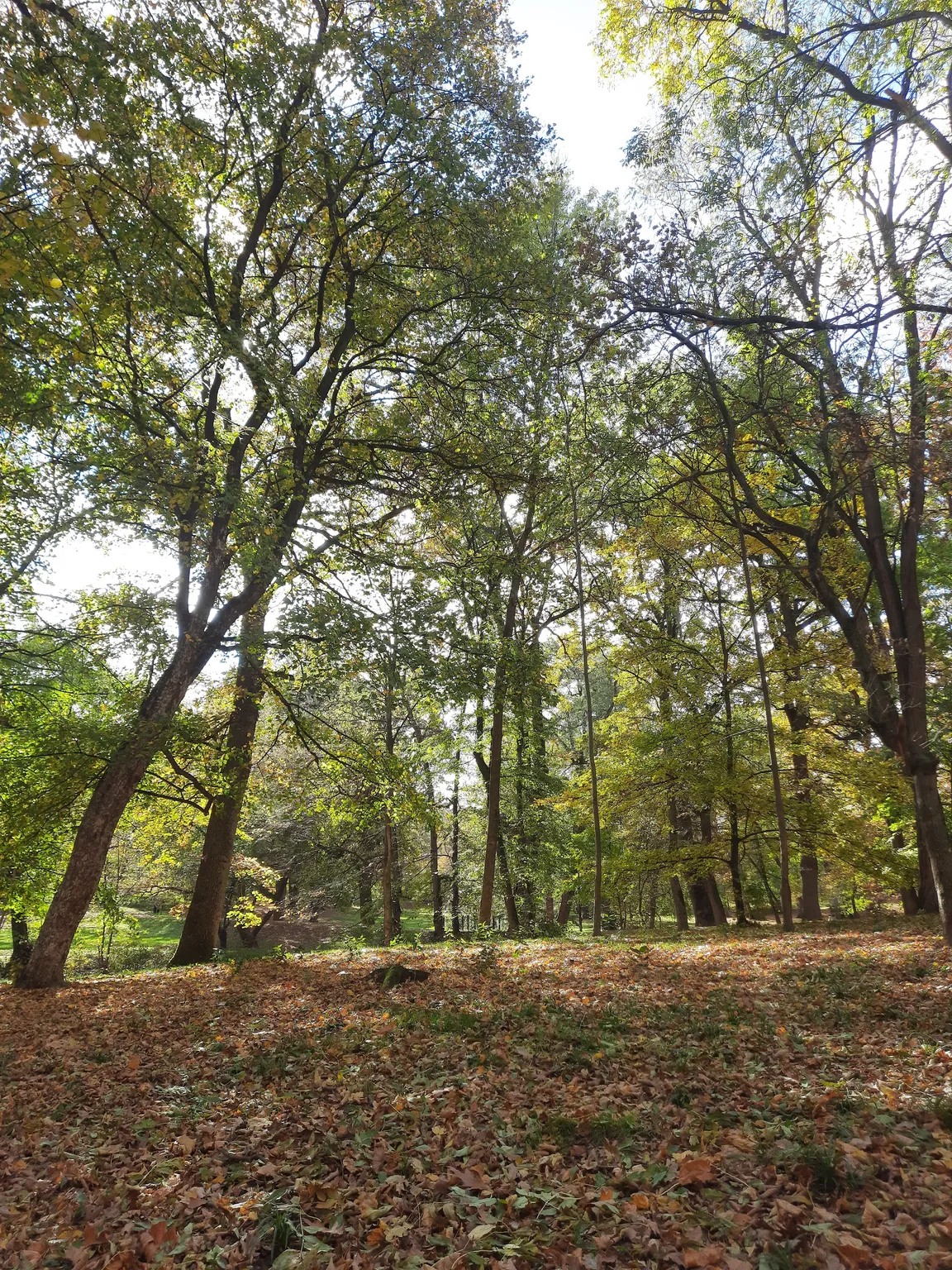 Parc de joaca