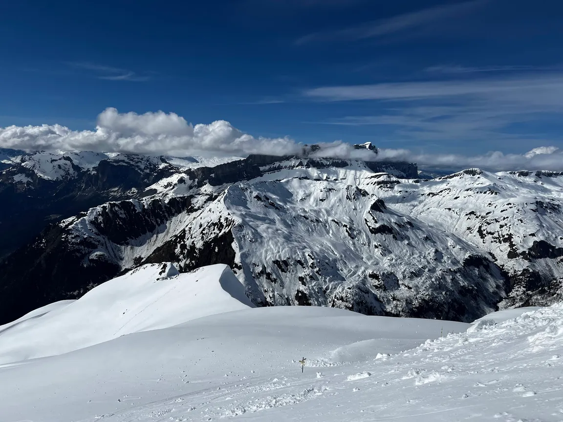 Le Panoramic