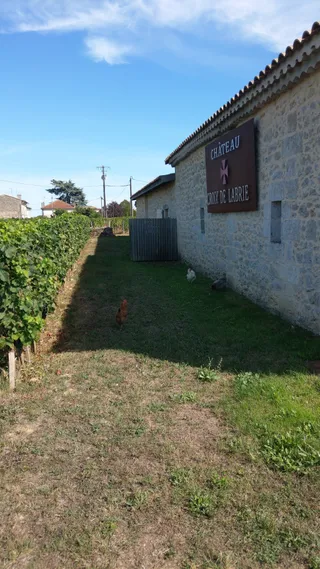 Château Croix de Labrie