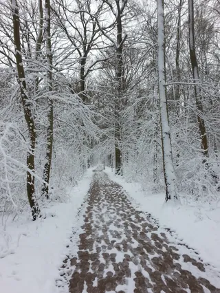 Parcours Vita fontaine