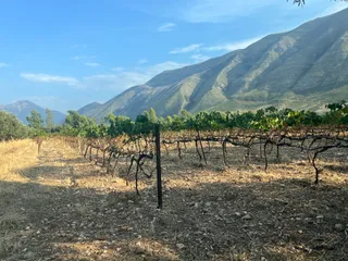 Kantina & Ferma Dukat