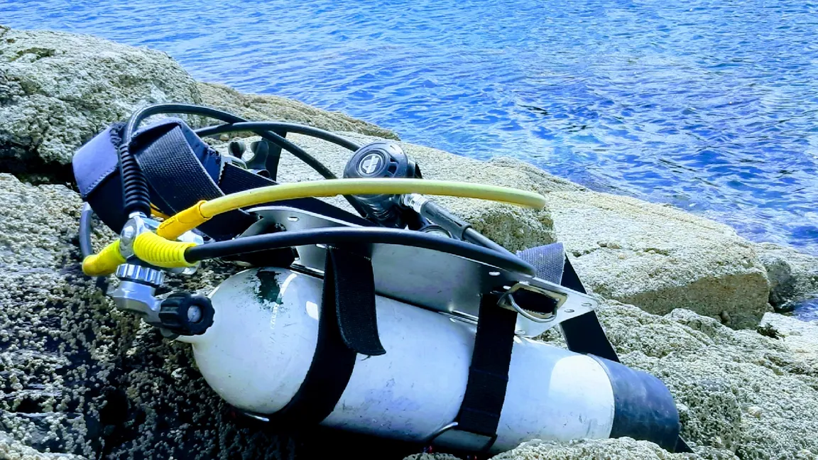 Kenmare Bay Diving