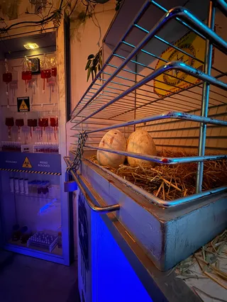 The Escape Room Lanzarote
