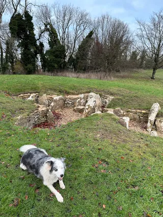 Nympsfield Long Barrow