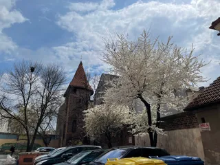 Baszta Gotycka