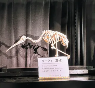 Tennoji Zoo Museum