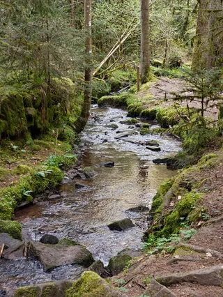 Rötelbachtal