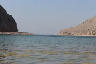 Pre-Islamic Petroglyphs