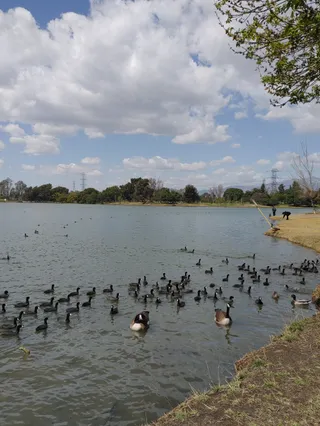 Legg Lake
