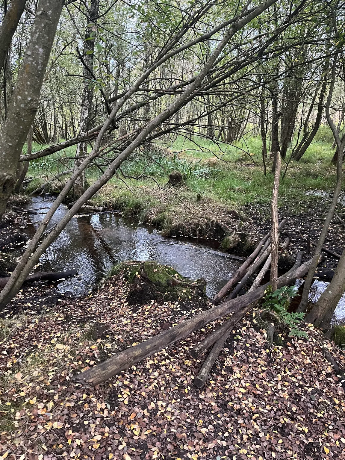 Barossa Nature Reserve