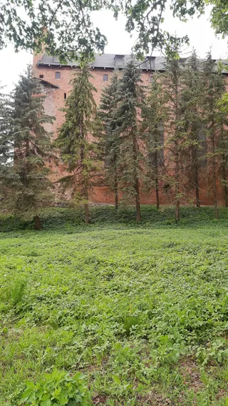 Zamek krzyżacki w Barcianach