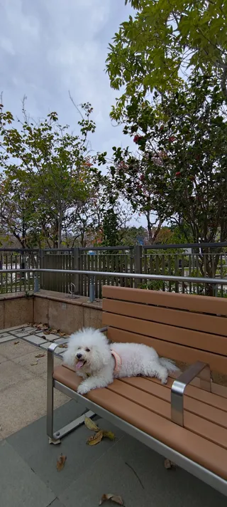 Kwong Fuk Park Pet Garden