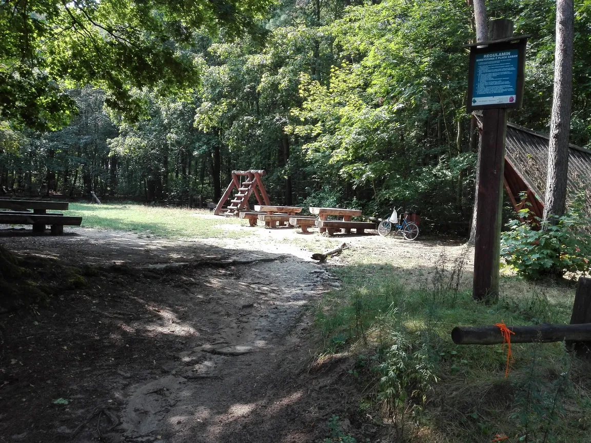 Leśny plac zabaw