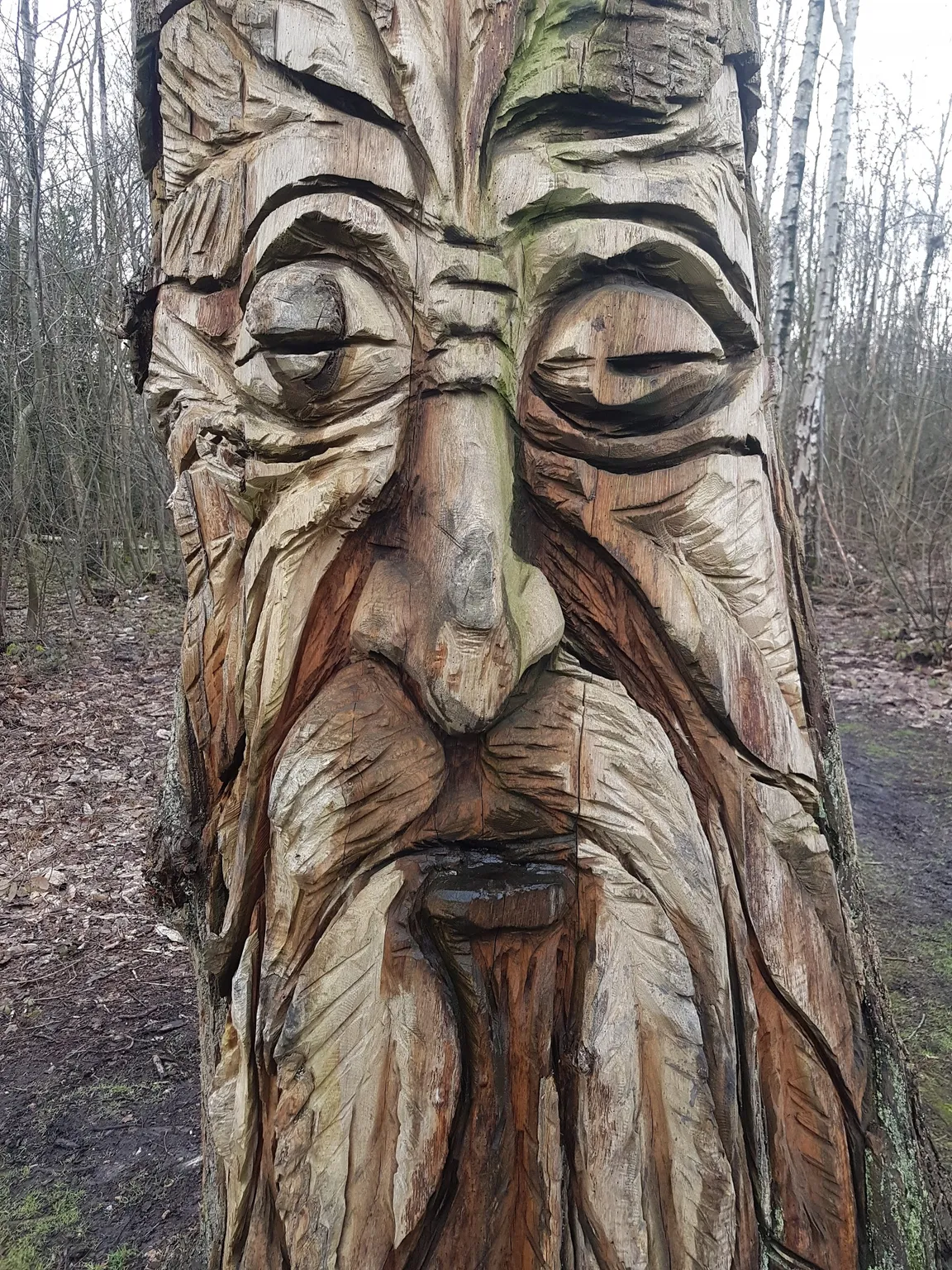 The Wildart Trail