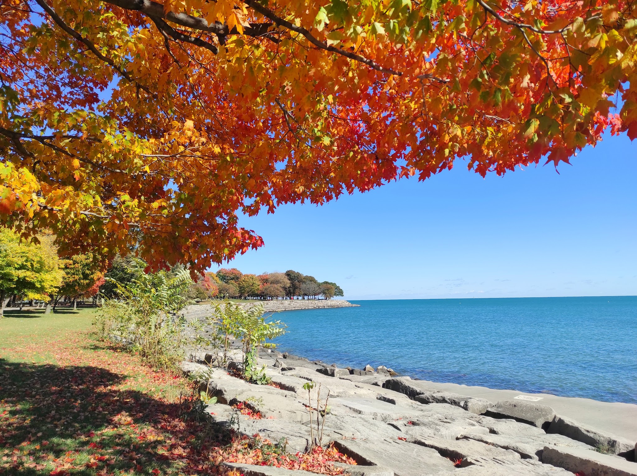 Burnham Park Promontory Point | Hopsa