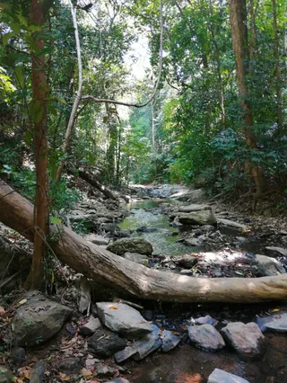 Khlong Chak Bat Cave