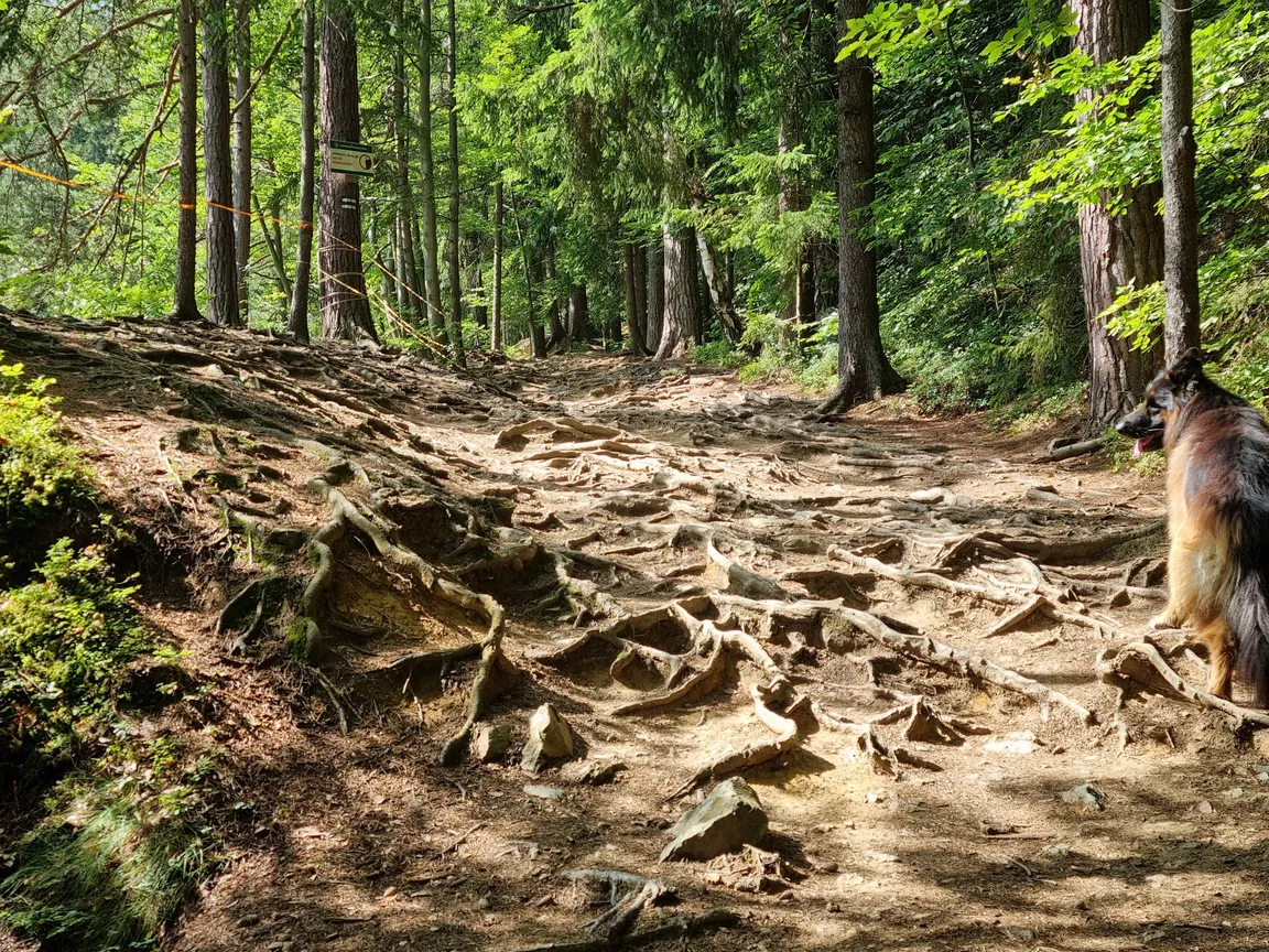 Kolorowe Jeziorka
